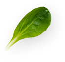 02-4.png