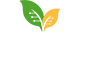 Logo-header.png
